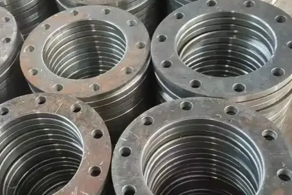 Stainless Steel Flanges